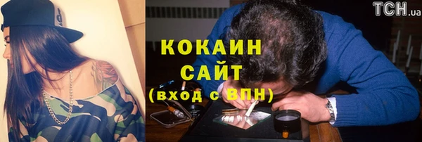 амф Арсеньев
