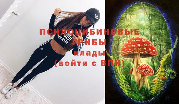 амф Арсеньев